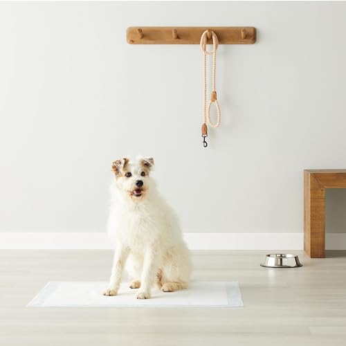 Amazon Basics Heavy Duty Dog and Puppy Pee Pads, 5-Layer Leak-Proof Ultra Absorbent, Quick-Dry Surface, Potty Training, Regular (24x23"), 50 Count, Blue & White