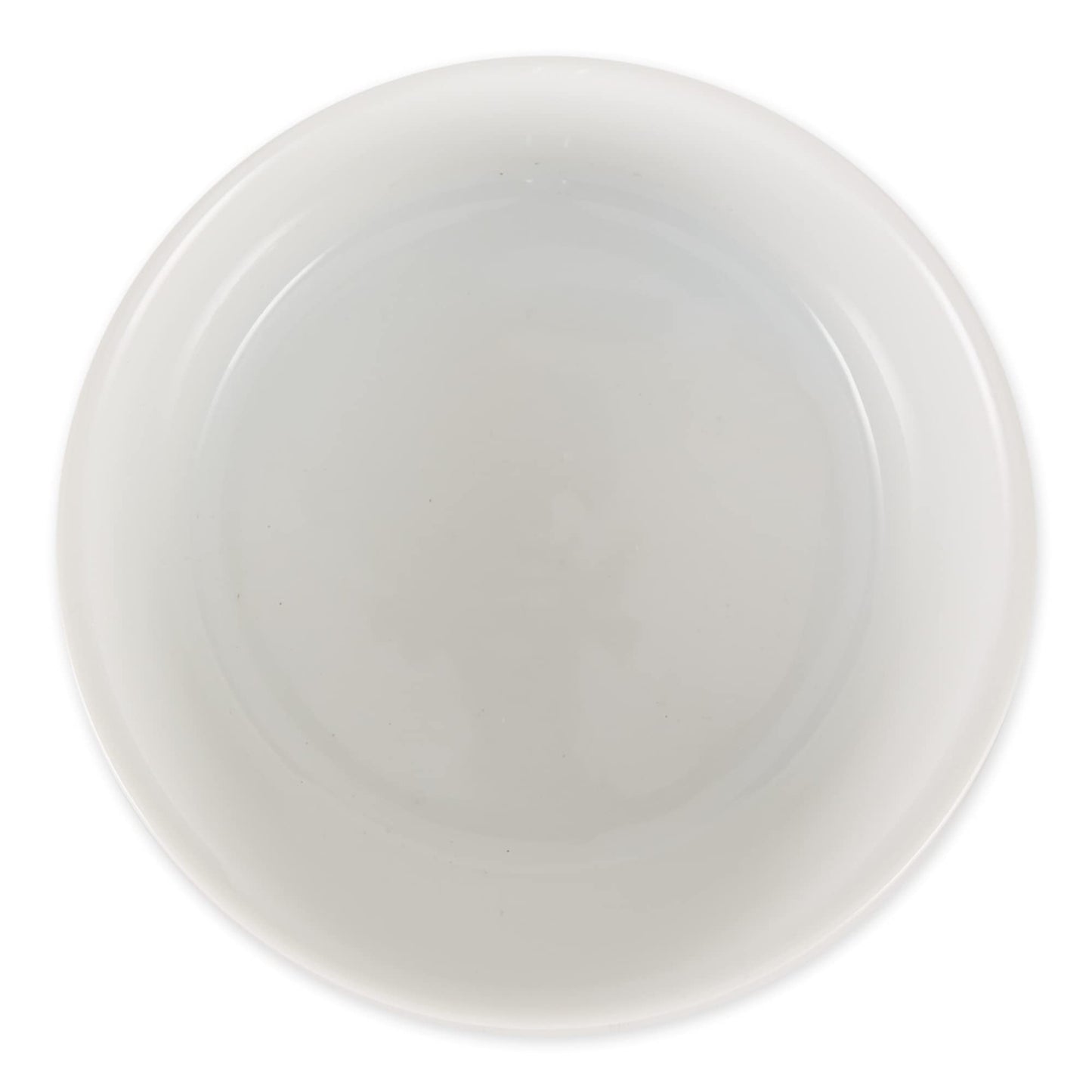 Bone Dry Paw Print Ceramic Pet Bowl, Lattice Collection, Large Set, 7.5x2.4", Aqua, 2 Count