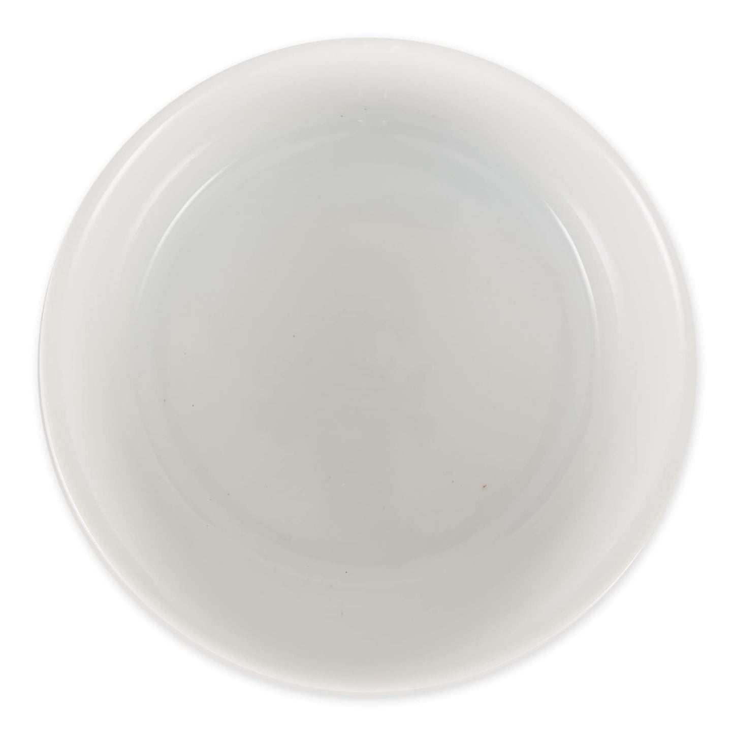 Bone Dry Paw Print Ceramic Pet Bowl, Lattice Collection, Large Set, 7.5x2.4", Aqua, 2 Count