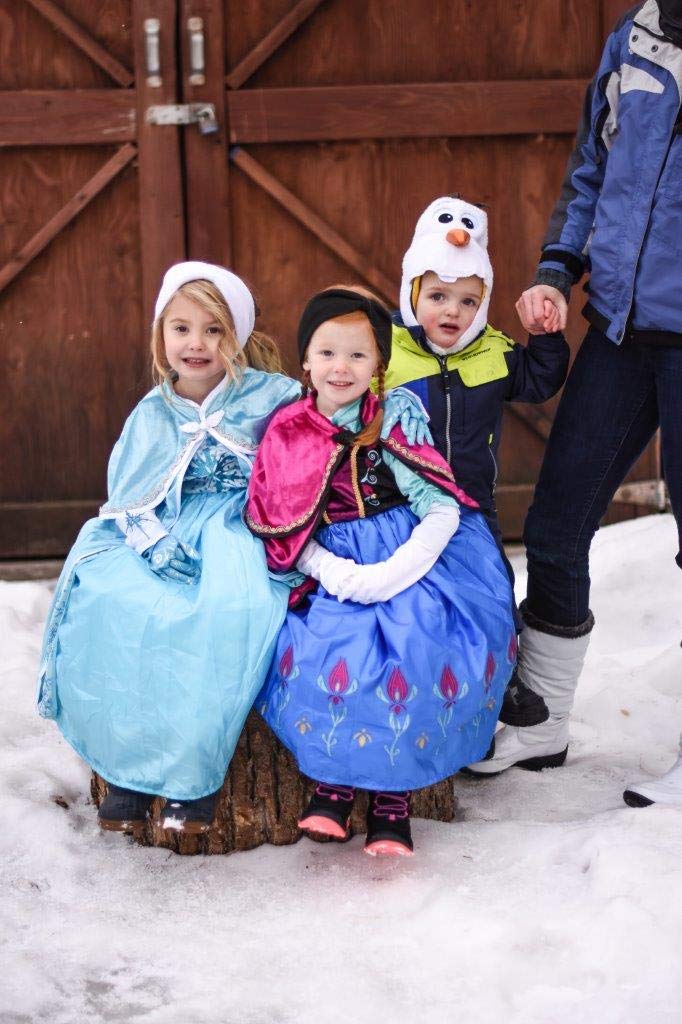 Little Adventures Ice Princess Dress up Costume - Machine Washable Girls Child Pretend Play and Party Outfit with No Glitter