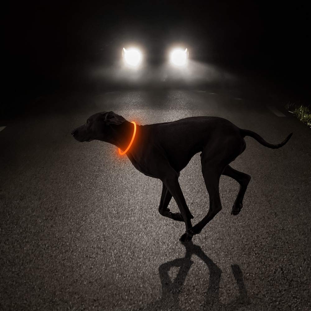 LED Dog Collar - HIGO Light Up Dog Collars Glow in The Dark, USB Rechargeable LED Dog Necklace Light for Your Dogs Walking at Night (Green-Silicone)