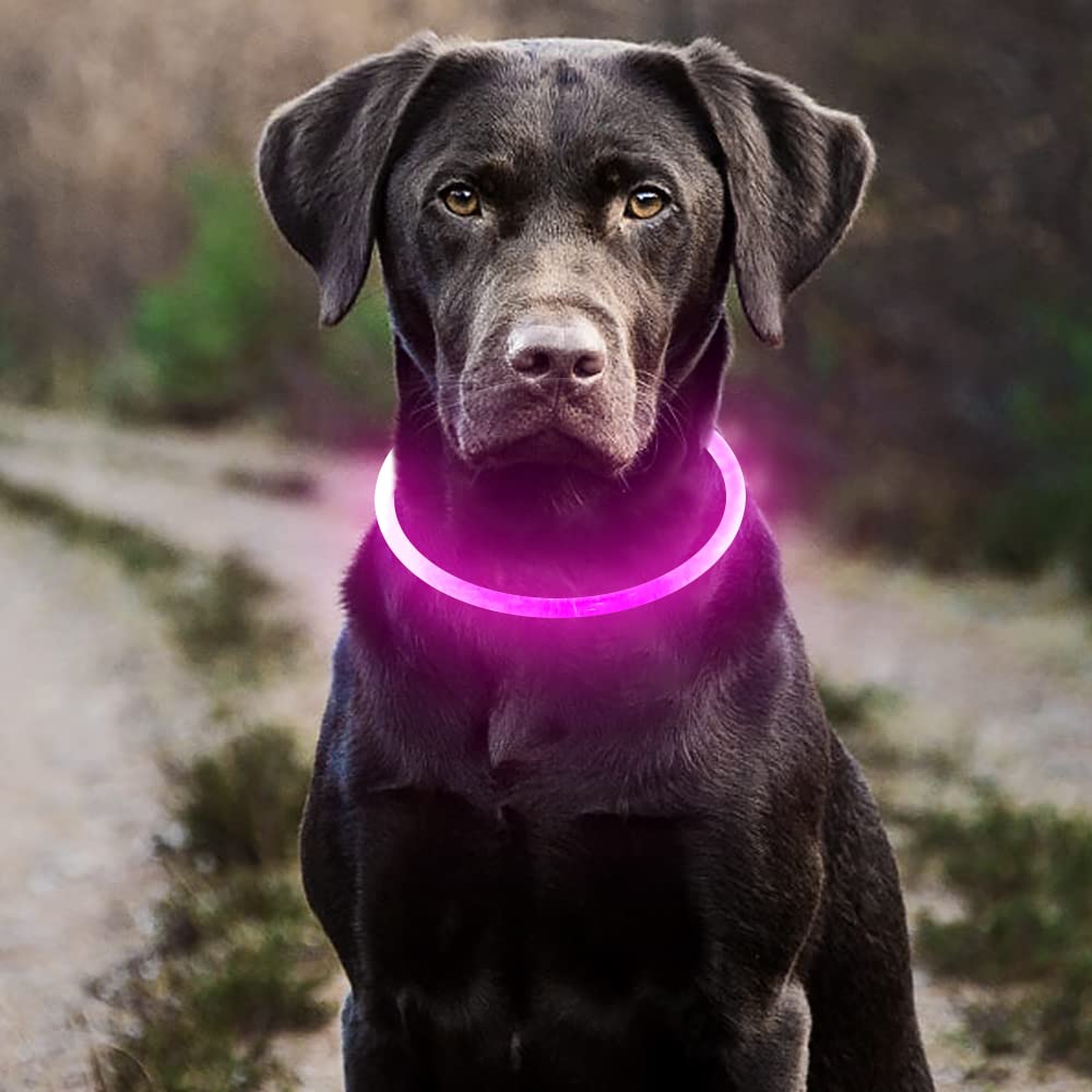 LED Dog Collar - HIGO Light Up Dog Collars Glow in The Dark, USB Rechargeable LED Dog Necklace Light for Your Dogs Walking at Night (Green-Silicone)