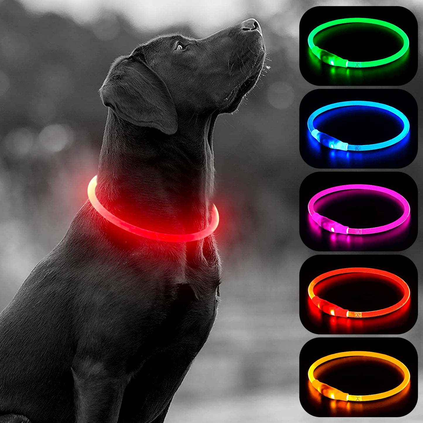 LED Dog Collar - HIGO Light Up Dog Collars Glow in The Dark, USB Rechargeable LED Dog Necklace Light for Your Dogs Walking at Night (Green-Silicone)