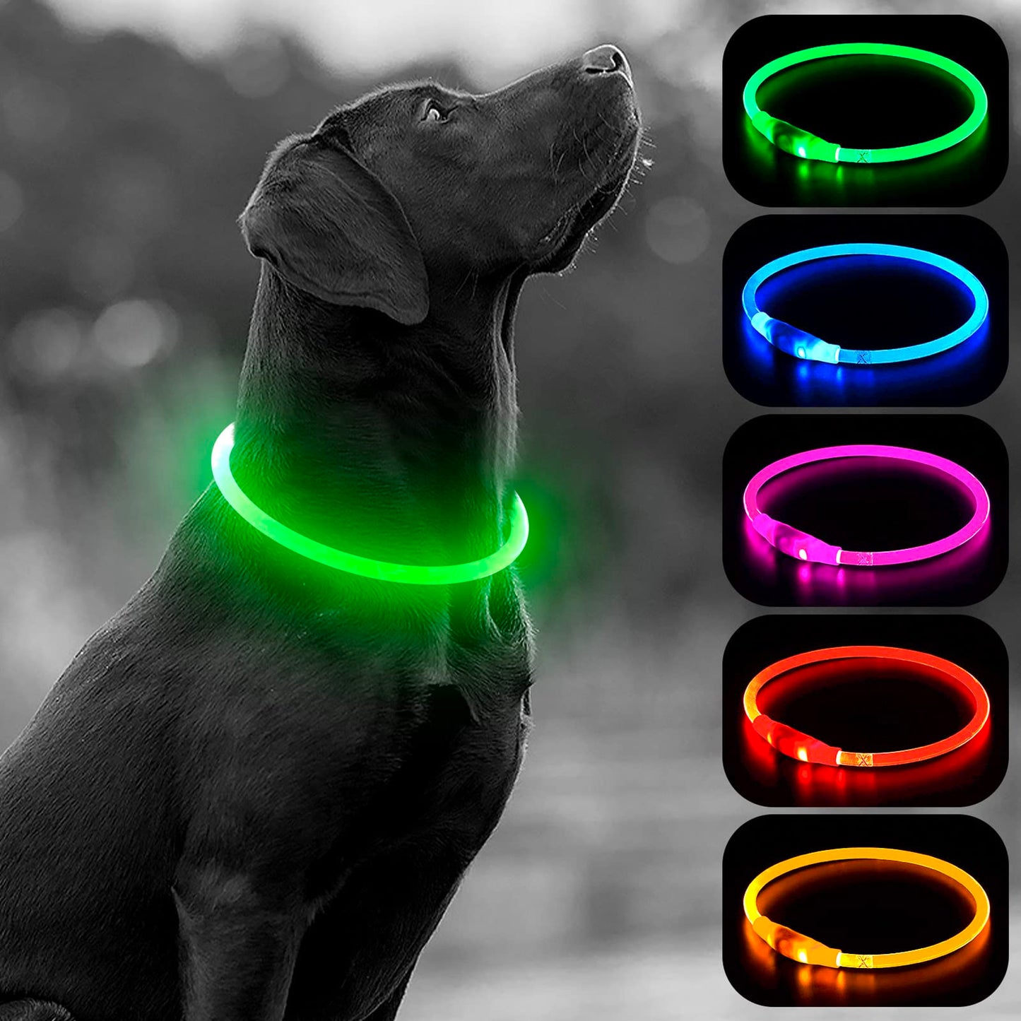 LED Dog Collar - HIGO Light Up Dog Collars Glow in The Dark, USB Rechargeable LED Dog Necklace Light for Your Dogs Walking at Night (Green-Silicone)