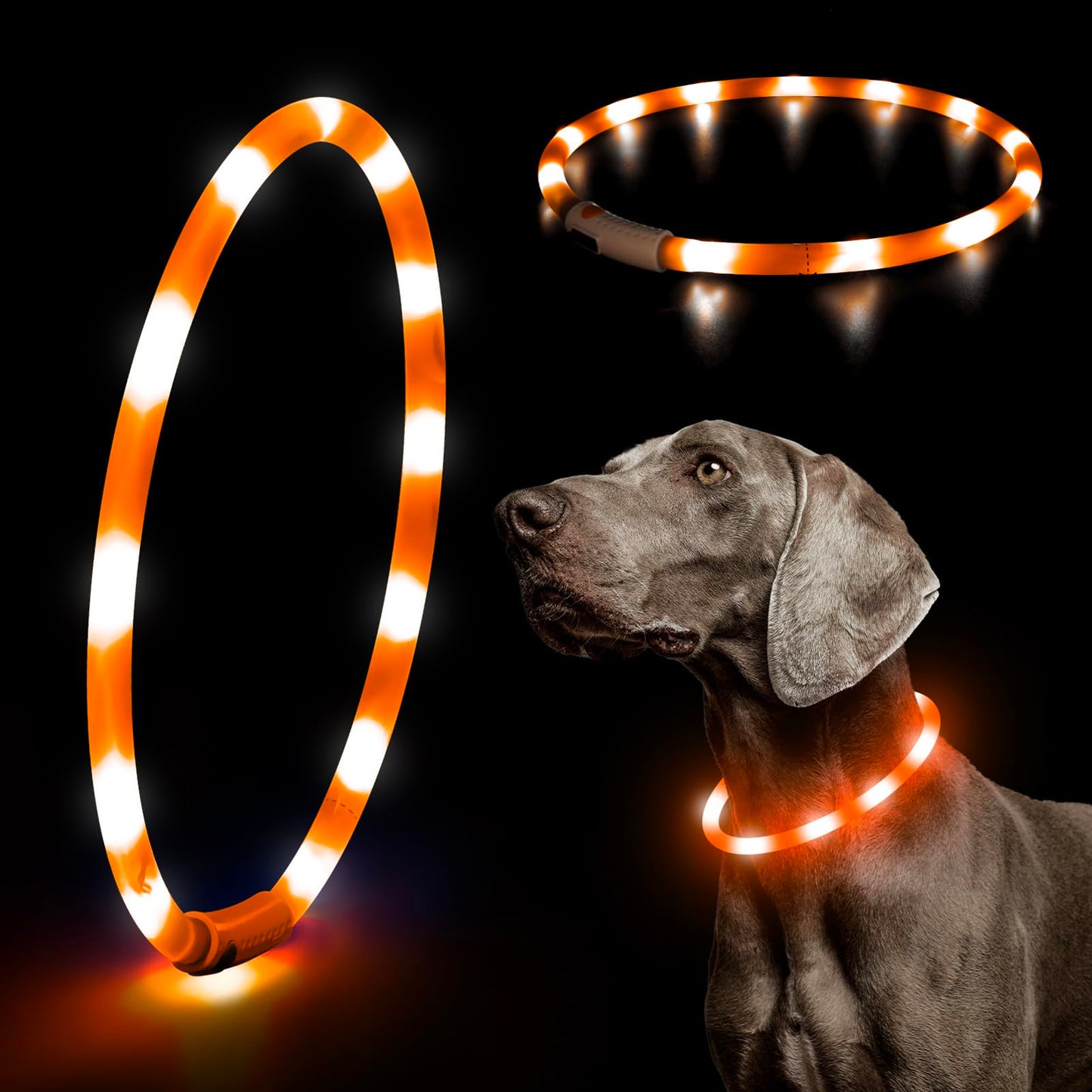 LED Dog Collar - HIGO Light Up Dog Collars Glow in The Dark, USB Rechargeable LED Dog Necklace Light for Your Dogs Walking at Night (Green-Silicone)