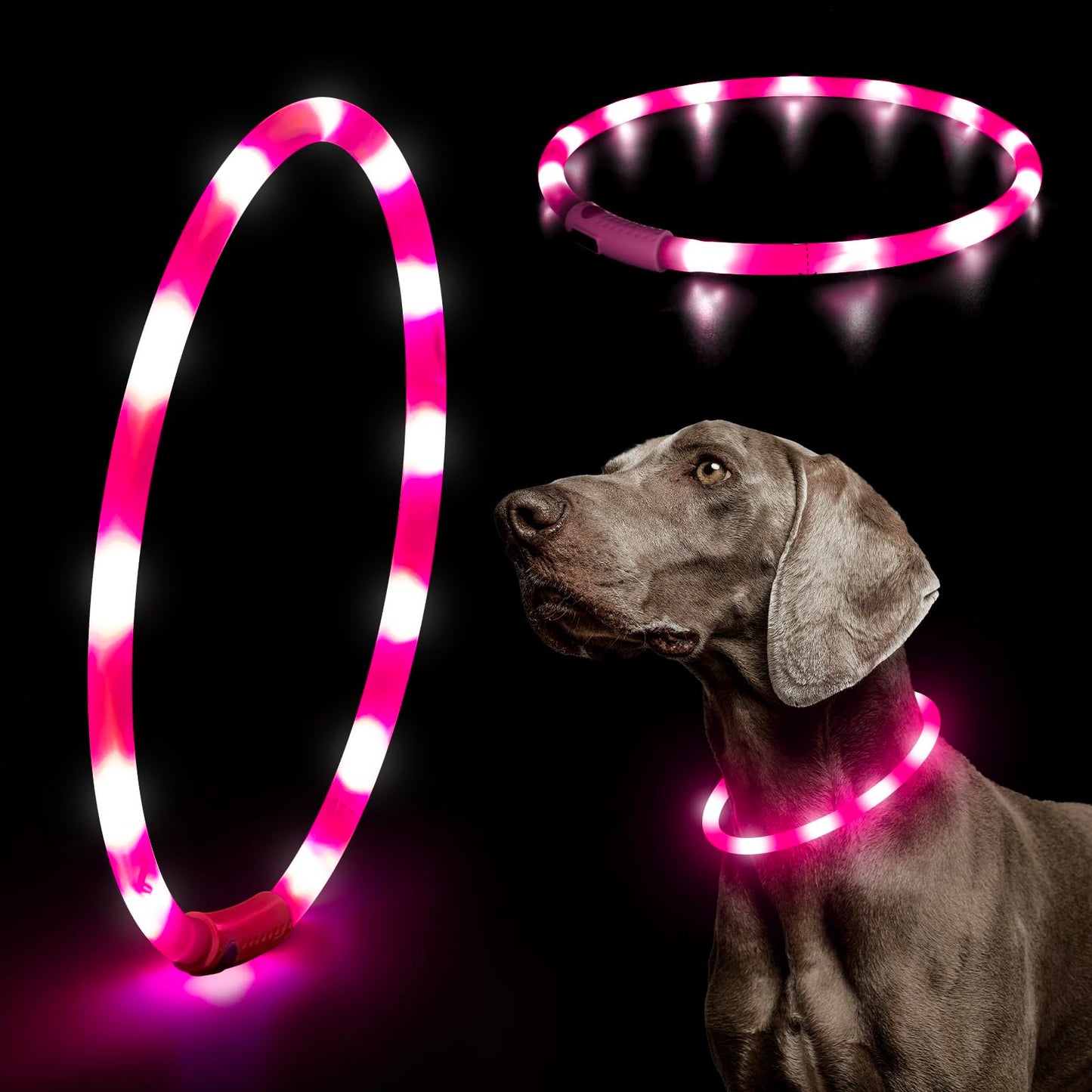 LED Dog Collar - HIGO Light Up Dog Collars Glow in The Dark, USB Rechargeable LED Dog Necklace Light for Your Dogs Walking at Night (Green-Silicone)