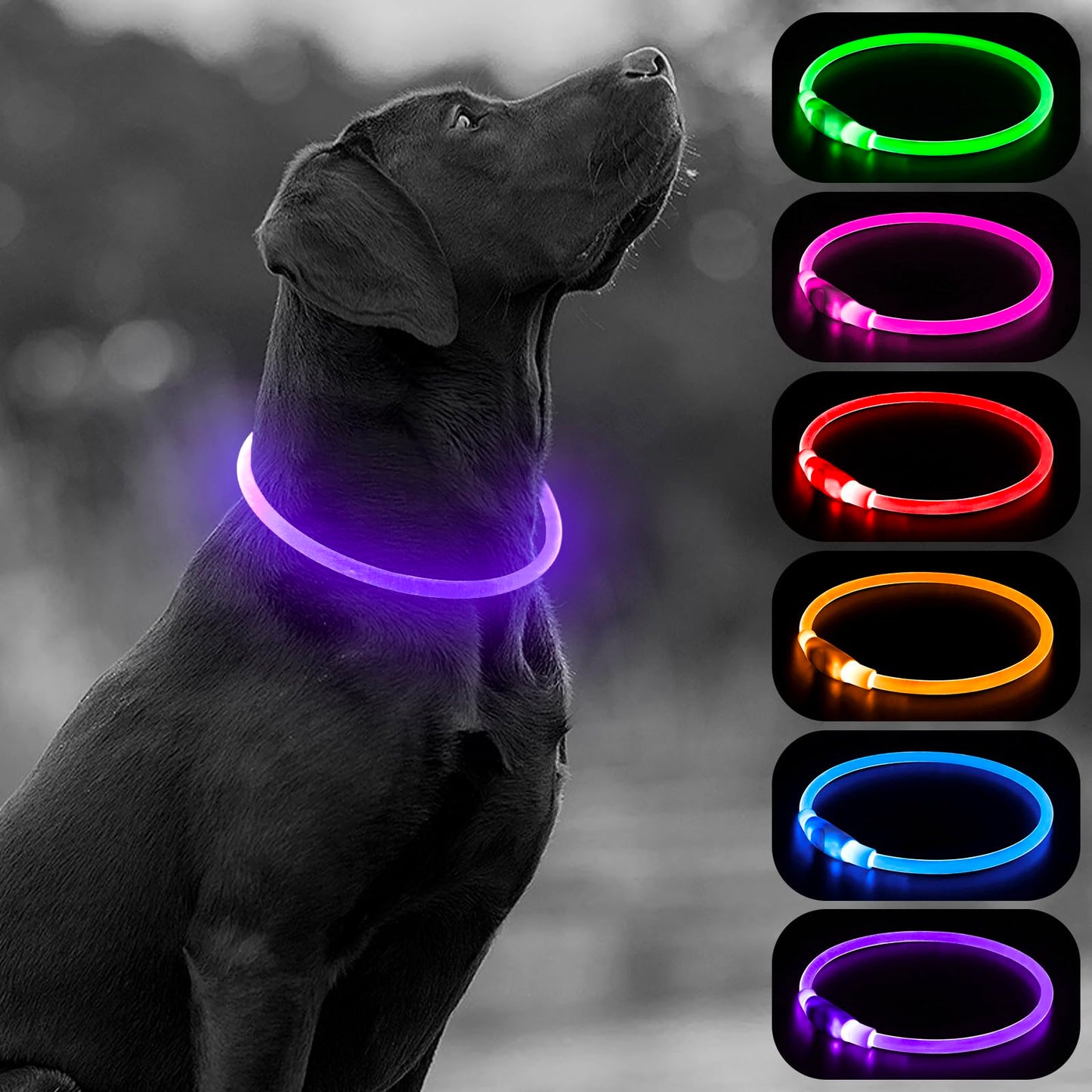 LED Dog Collar - HIGO Light Up Dog Collars Glow in The Dark, USB Rechargeable LED Dog Necklace Light for Your Dogs Walking at Night (Green-Silicone)