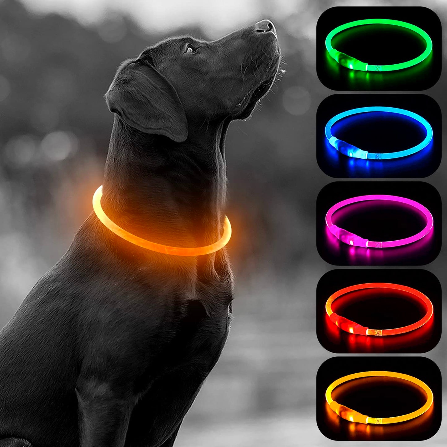 LED Dog Collar - HIGO Light Up Dog Collars Glow in The Dark, USB Rechargeable LED Dog Necklace Light for Your Dogs Walking at Night (Green-Silicone)