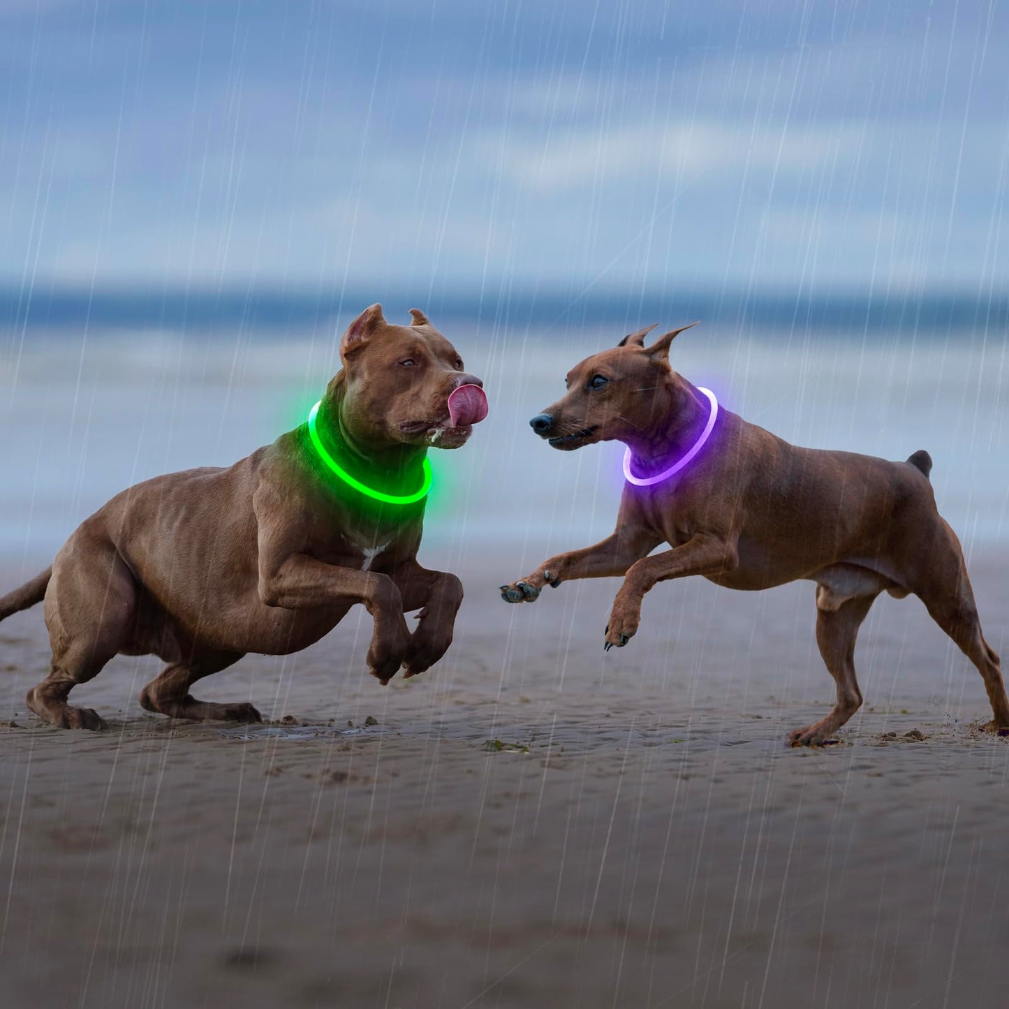 LED Dog Collar - HIGO Light Up Dog Collars Glow in The Dark, USB Rechargeable LED Dog Necklace Light for Your Dogs Walking at Night (Green-Silicone)