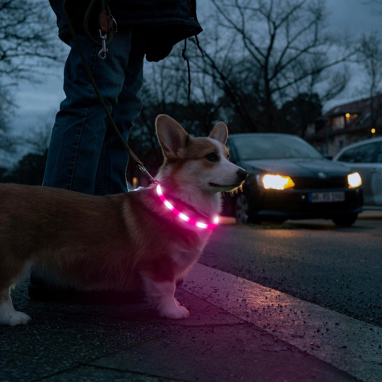 LED Dog Collar - HIGO Light Up Dog Collars Glow in The Dark, USB Rechargeable LED Dog Necklace Light for Your Dogs Walking at Night (Green-Silicone)