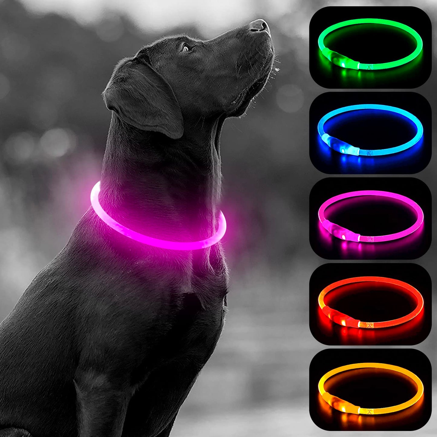 LED Dog Collar - HIGO Light Up Dog Collars Glow in The Dark, USB Rechargeable LED Dog Necklace Light for Your Dogs Walking at Night (Green-Silicone)