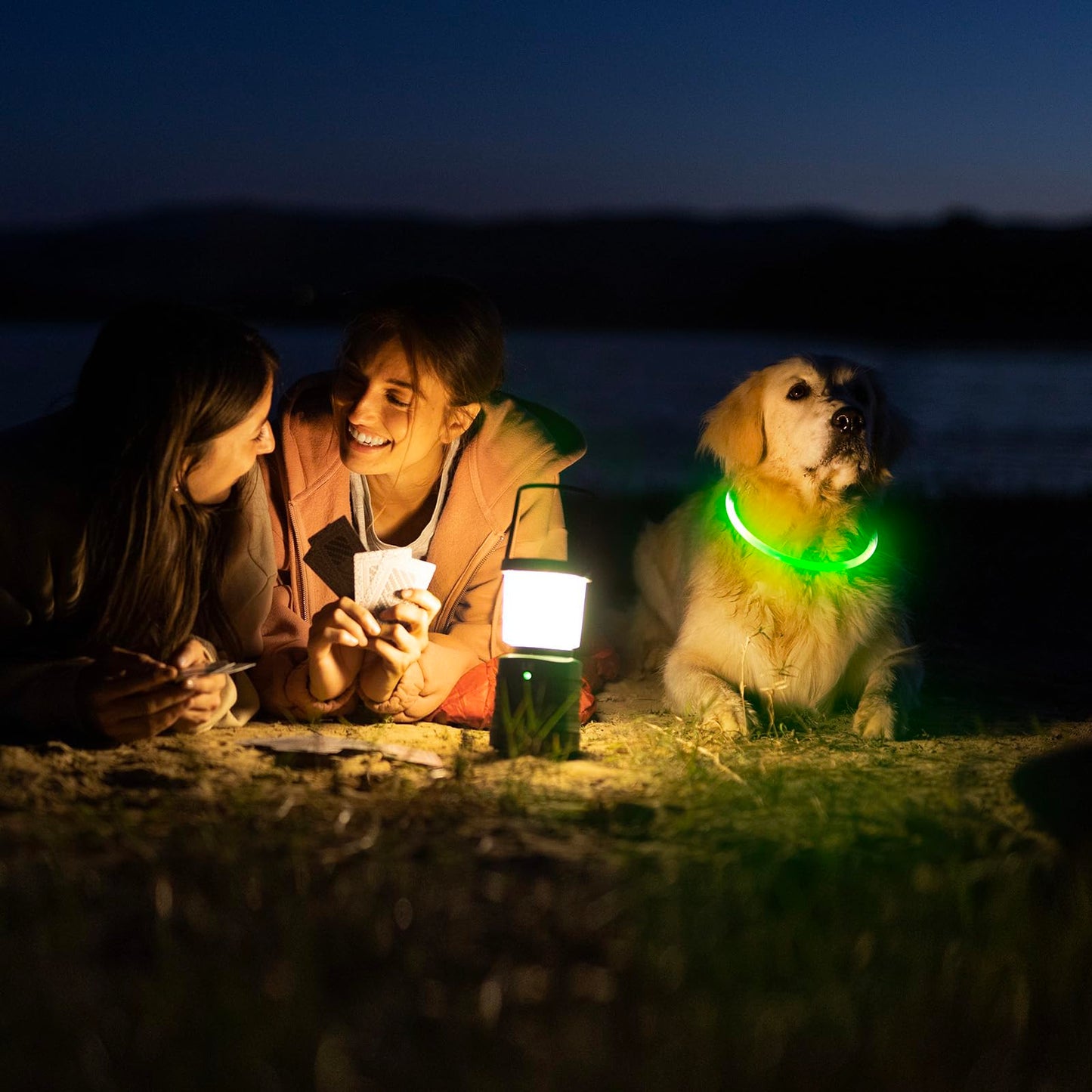 LED Dog Collar - HIGO Light Up Dog Collars Glow in The Dark, USB Rechargeable LED Dog Necklace Light for Your Dogs Walking at Night (Green-Silicone)