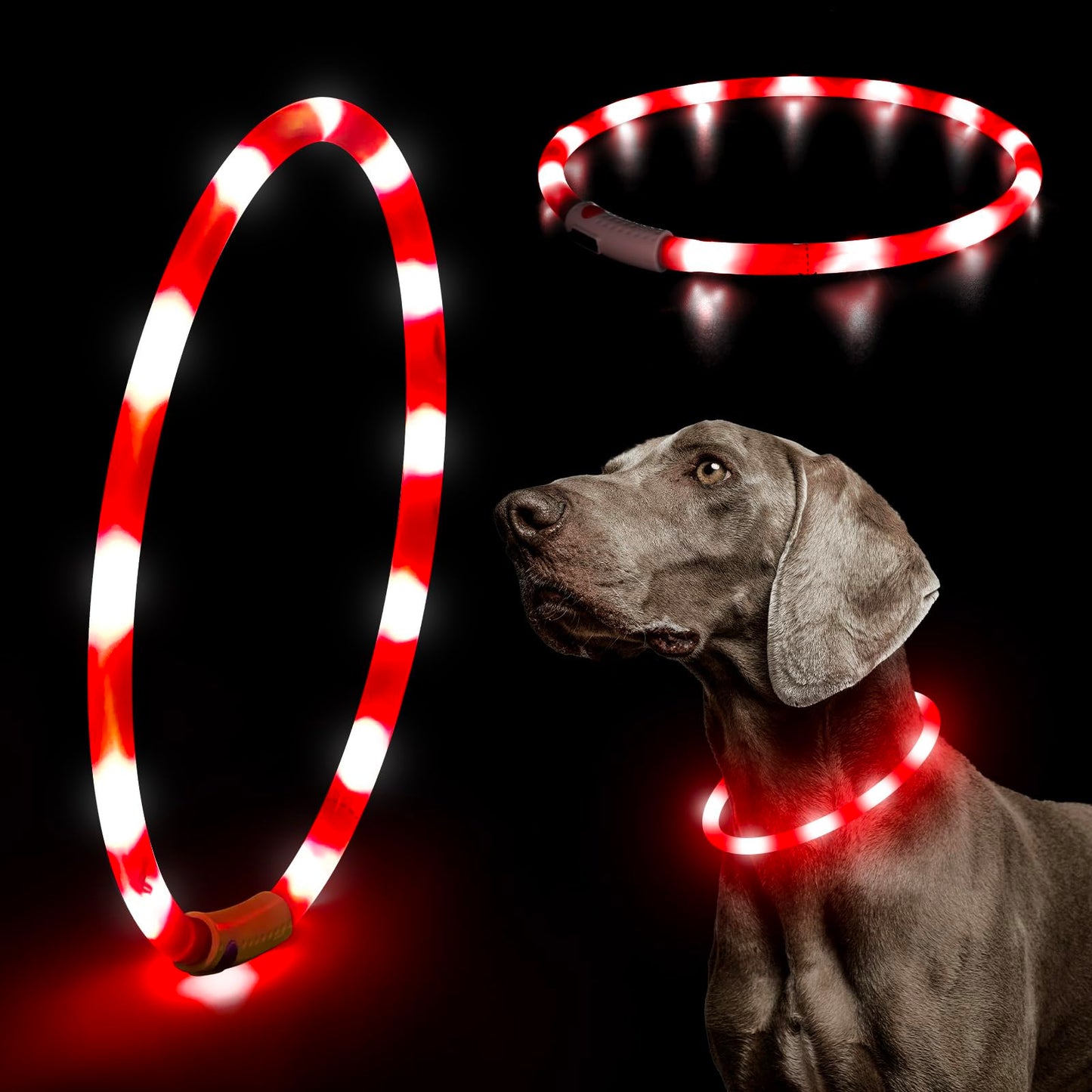 LED Dog Collar - HIGO Light Up Dog Collars Glow in The Dark, USB Rechargeable LED Dog Necklace Light for Your Dogs Walking at Night (Green-Silicone)