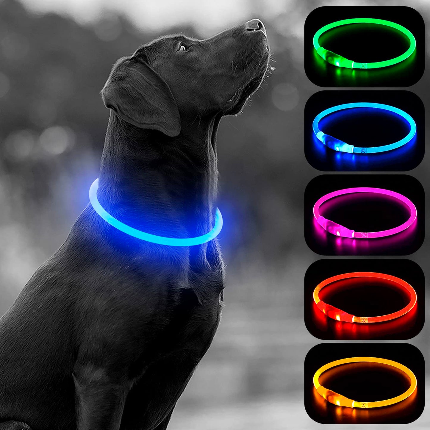 LED Dog Collar - HIGO Light Up Dog Collars Glow in The Dark, USB Rechargeable LED Dog Necklace Light for Your Dogs Walking at Night (Green-Silicone)