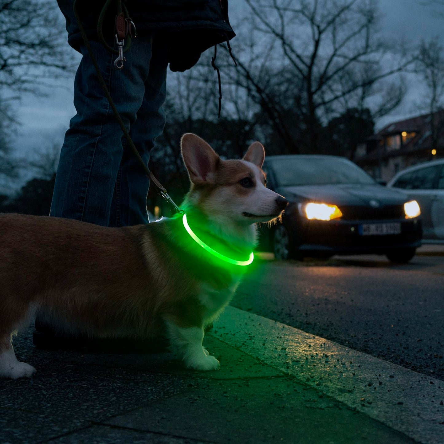 LED Dog Collar - HIGO Light Up Dog Collars Glow in The Dark, USB Rechargeable LED Dog Necklace Light for Your Dogs Walking at Night (Green-Silicone)