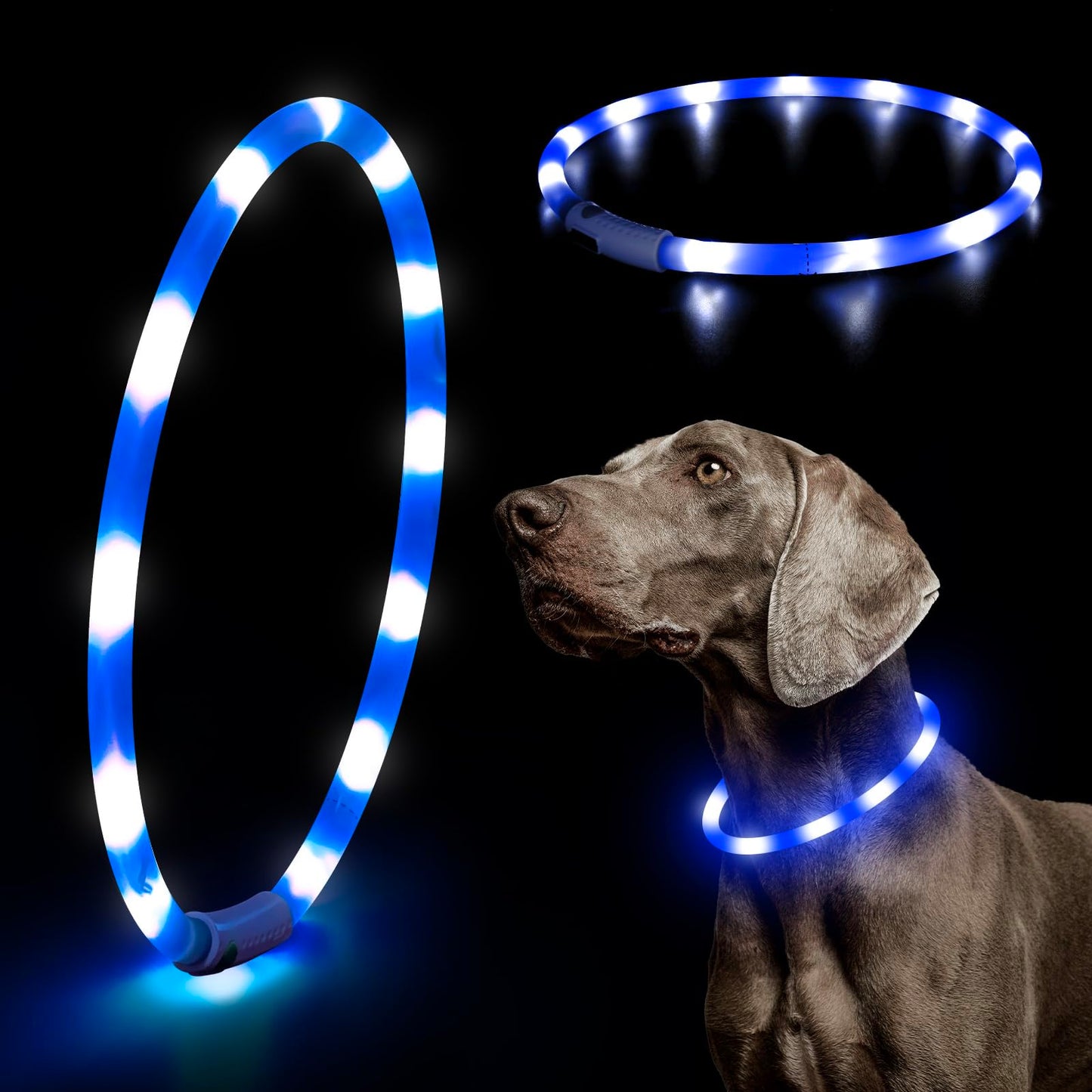 LED Dog Collar - HIGO Light Up Dog Collars Glow in The Dark, USB Rechargeable LED Dog Necklace Light for Your Dogs Walking at Night (Green-Silicone)