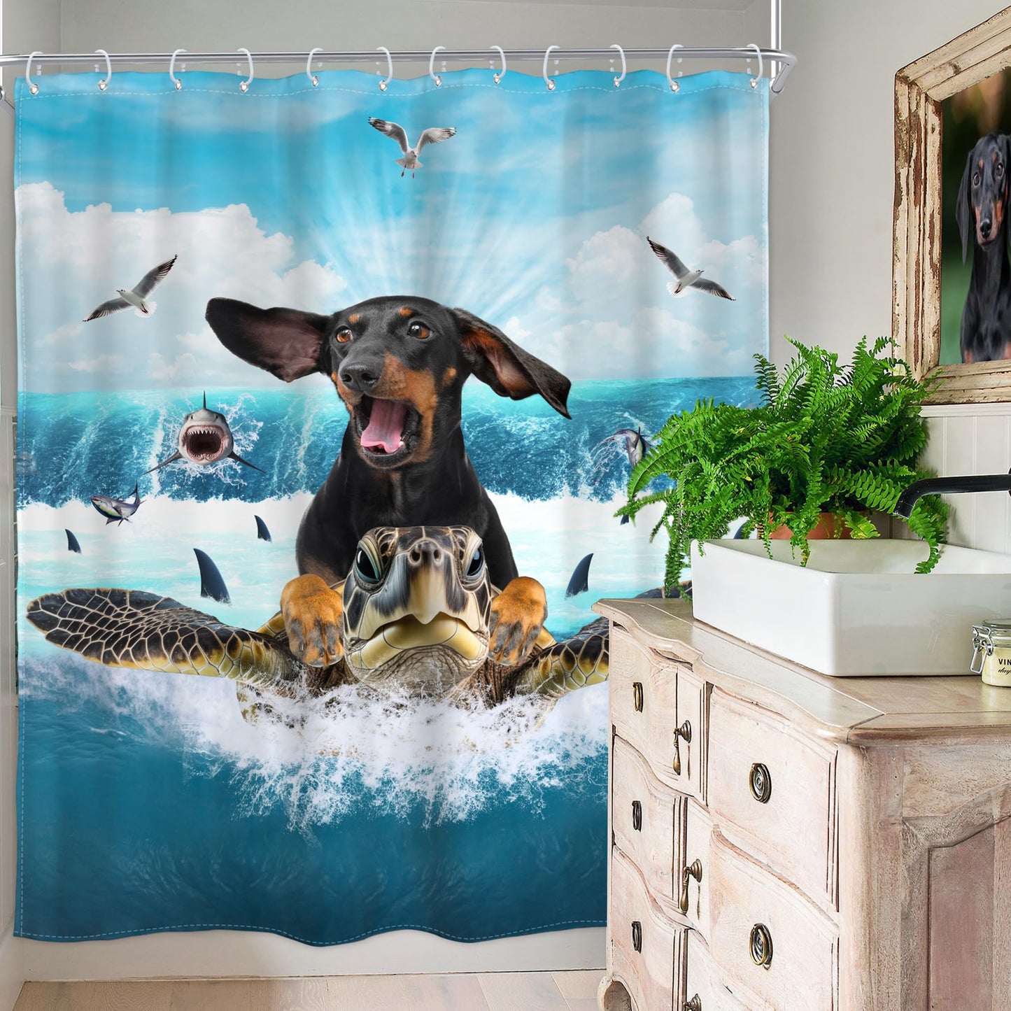Homewelle Funny Dog Corgi Ocean Shower Curtain Riding Shark 72Wx72H Inch Sea Waves Seagull Fish Cool Animal Surfing Blue Cute Kids Waterproof Polyester Fabric Bathroom Bathtub