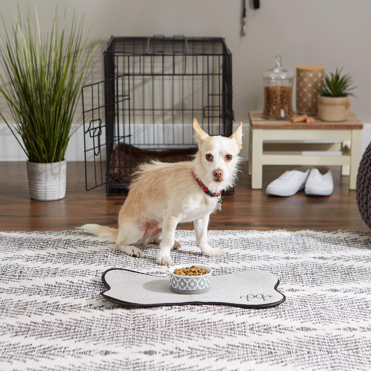 Bone Dry Paw Print Ceramic Pet Bowl, Lattice Collection, Large Set, 7.5x2.4", Aqua, 2 Count