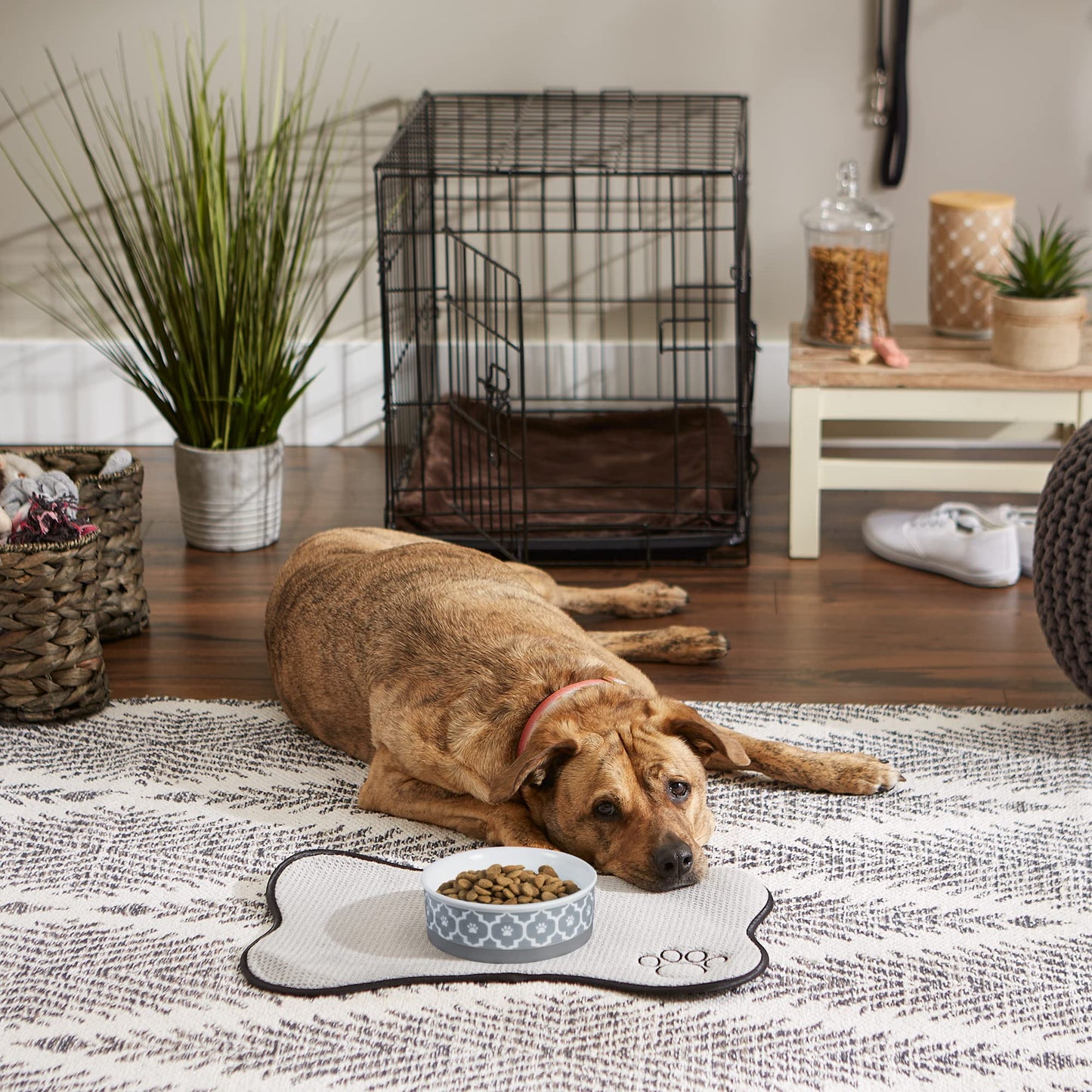 Bone Dry Paw Print Ceramic Pet Bowl, Lattice Collection, Large Set, 7.5x2.4", Aqua, 2 Count