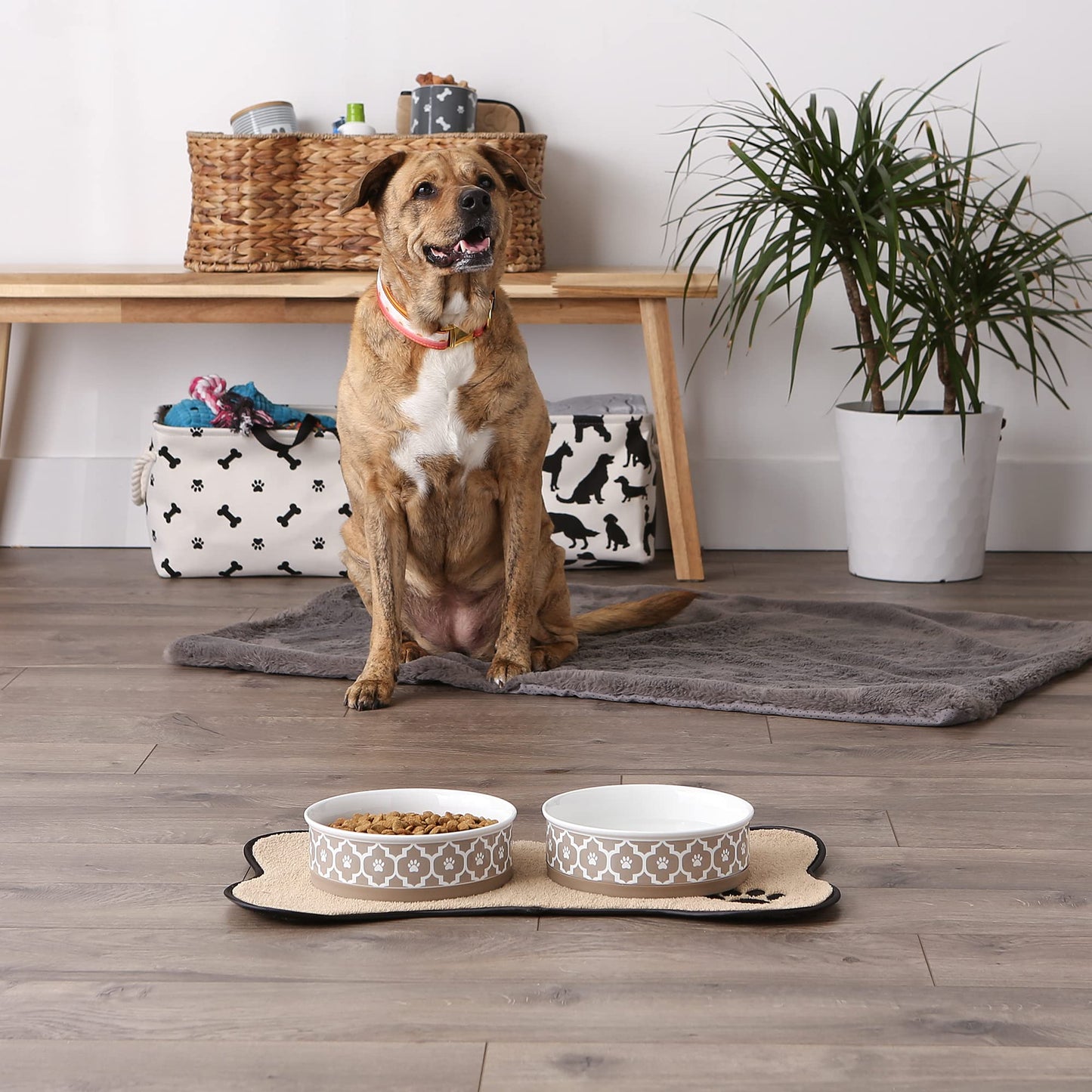 Bone Dry Paw Print Ceramic Pet Bowl, Lattice Collection, Large Set, 7.5x2.4", Aqua, 2 Count