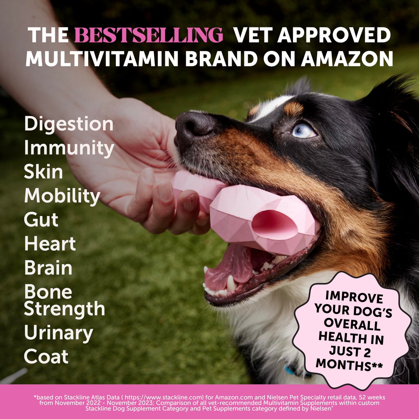 Dog Multivitamin - 10 in 1 Dog Vitamins for Health & Heart - Omega Fish Oil, Glucosamine & Probiotics - Dog Vitamins and Supplements for Skin and Coat (Chicken 180 ct)
