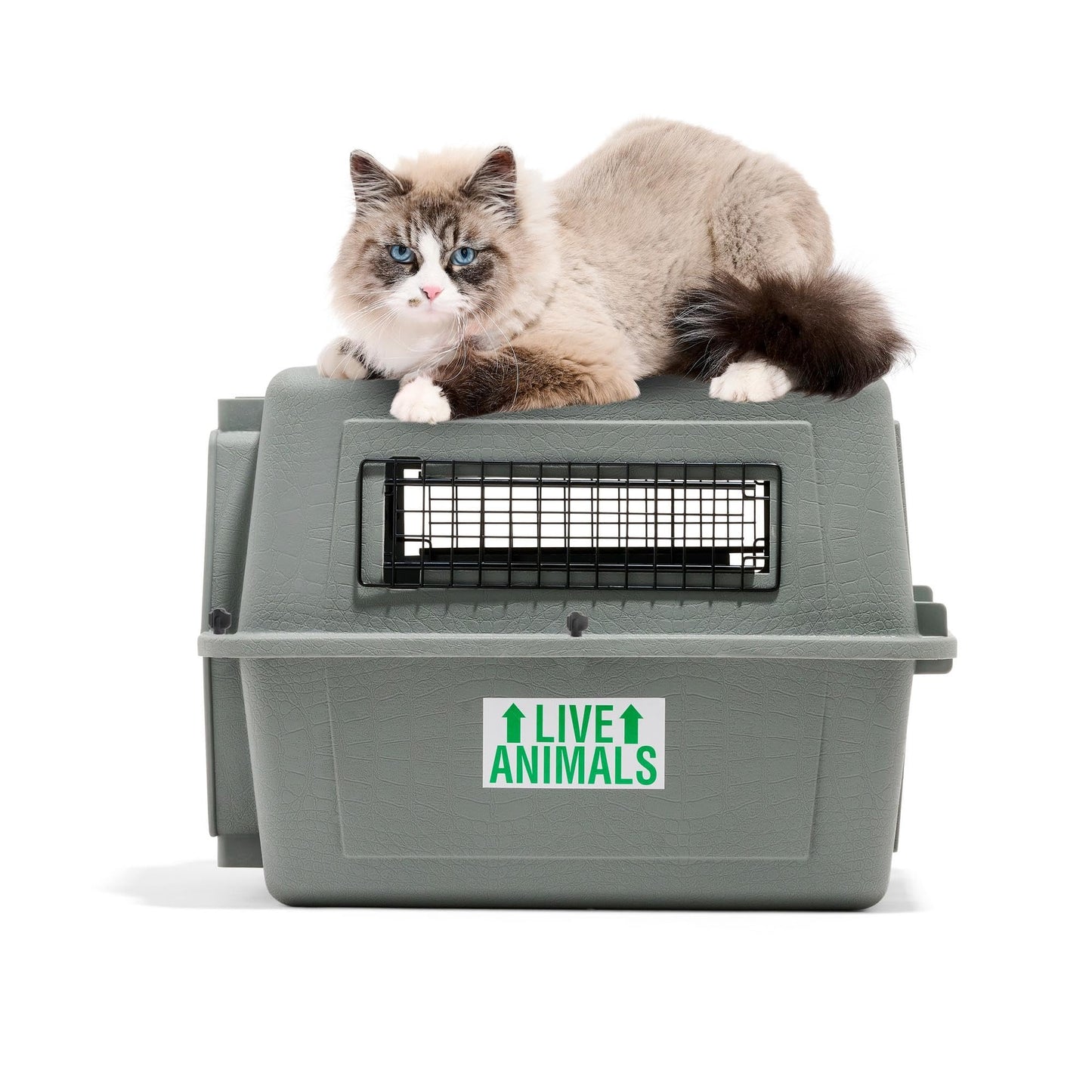 Petmate Sky Kennel - For Air and Travel, Airline Compliant Dog Crate for Pets up 15-30 lbs, Heavy Duty Dog Kennel, Made in the USA- 28 Inches