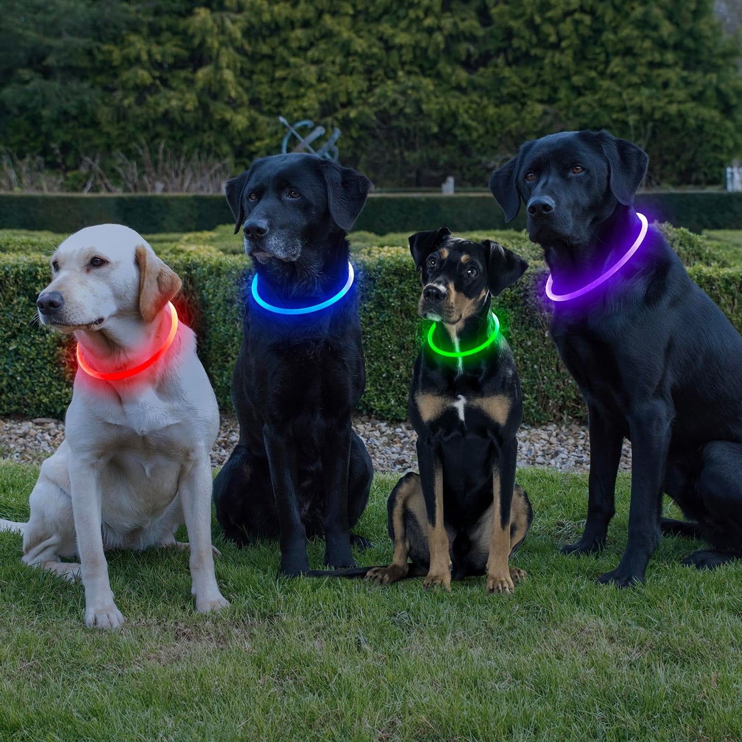 LED Dog Collar - HIGO Light Up Dog Collars Glow in The Dark, USB Rechargeable LED Dog Necklace Light for Your Dogs Walking at Night (Green-Silicone)