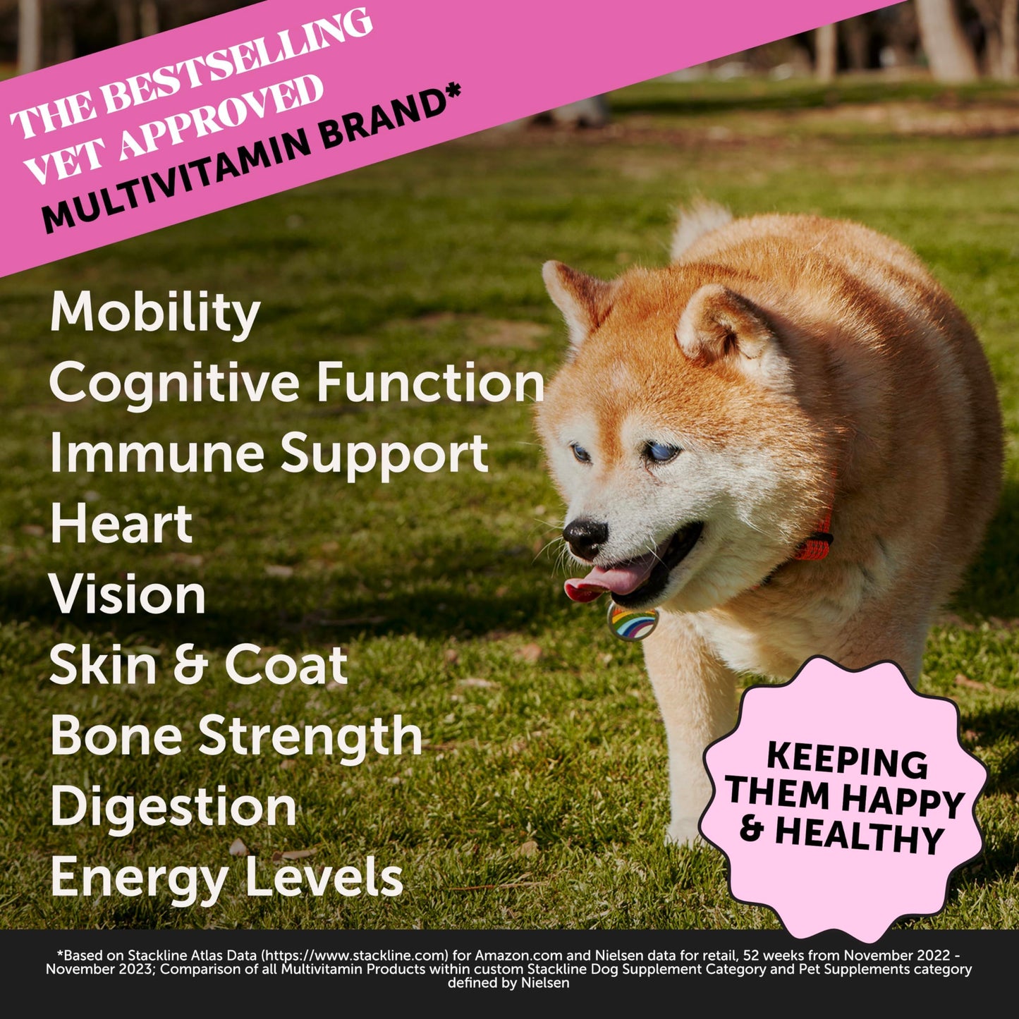 Dog Multivitamin - 10 in 1 Dog Vitamins for Health & Heart - Omega Fish Oil, Glucosamine & Probiotics - Dog Vitamins and Supplements for Skin and Coat (Chicken 180 ct)