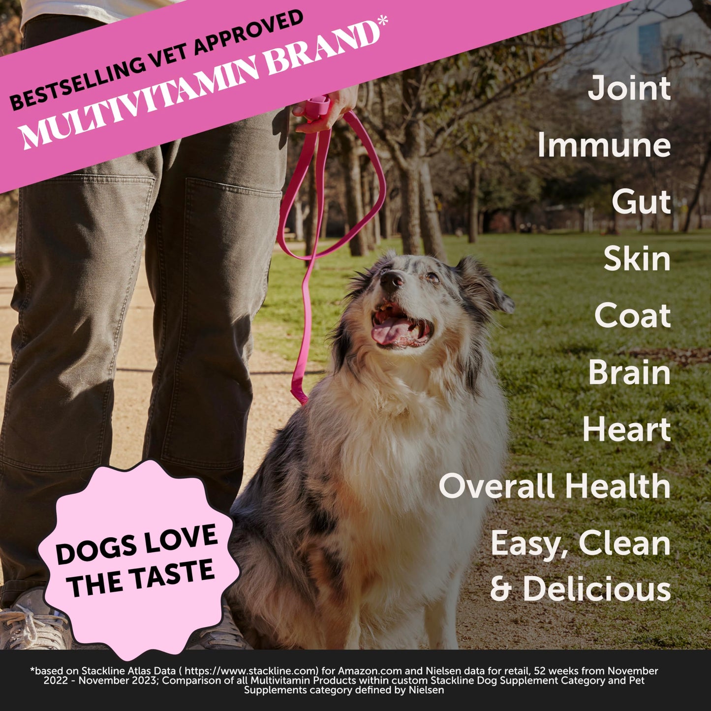 Dog Multivitamin - 10 in 1 Dog Vitamins for Health & Heart - Omega Fish Oil, Glucosamine & Probiotics - Dog Vitamins and Supplements for Skin and Coat (Chicken 180 ct)